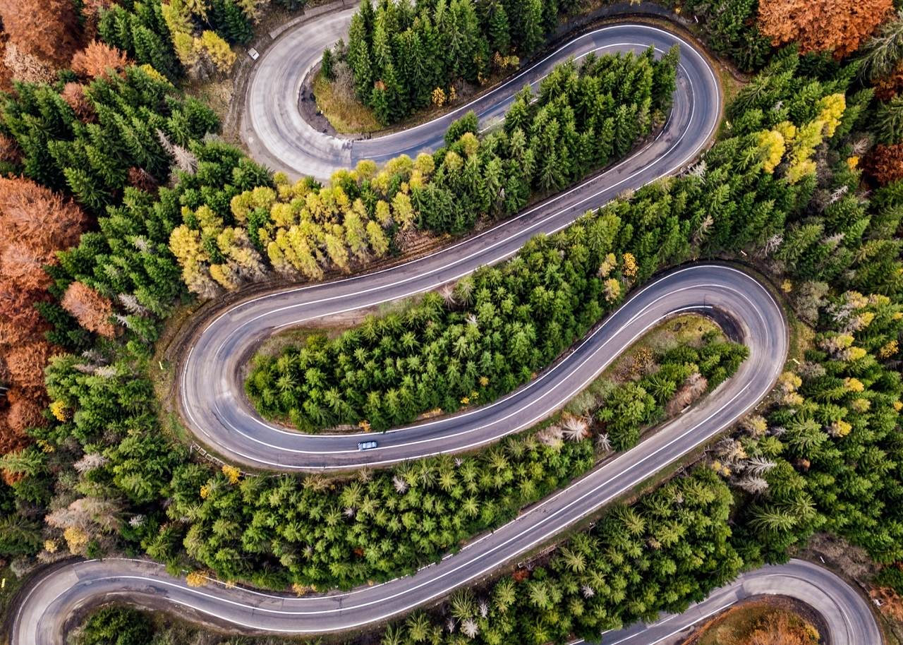 Aerial View Of Winding Road Amidst Tree